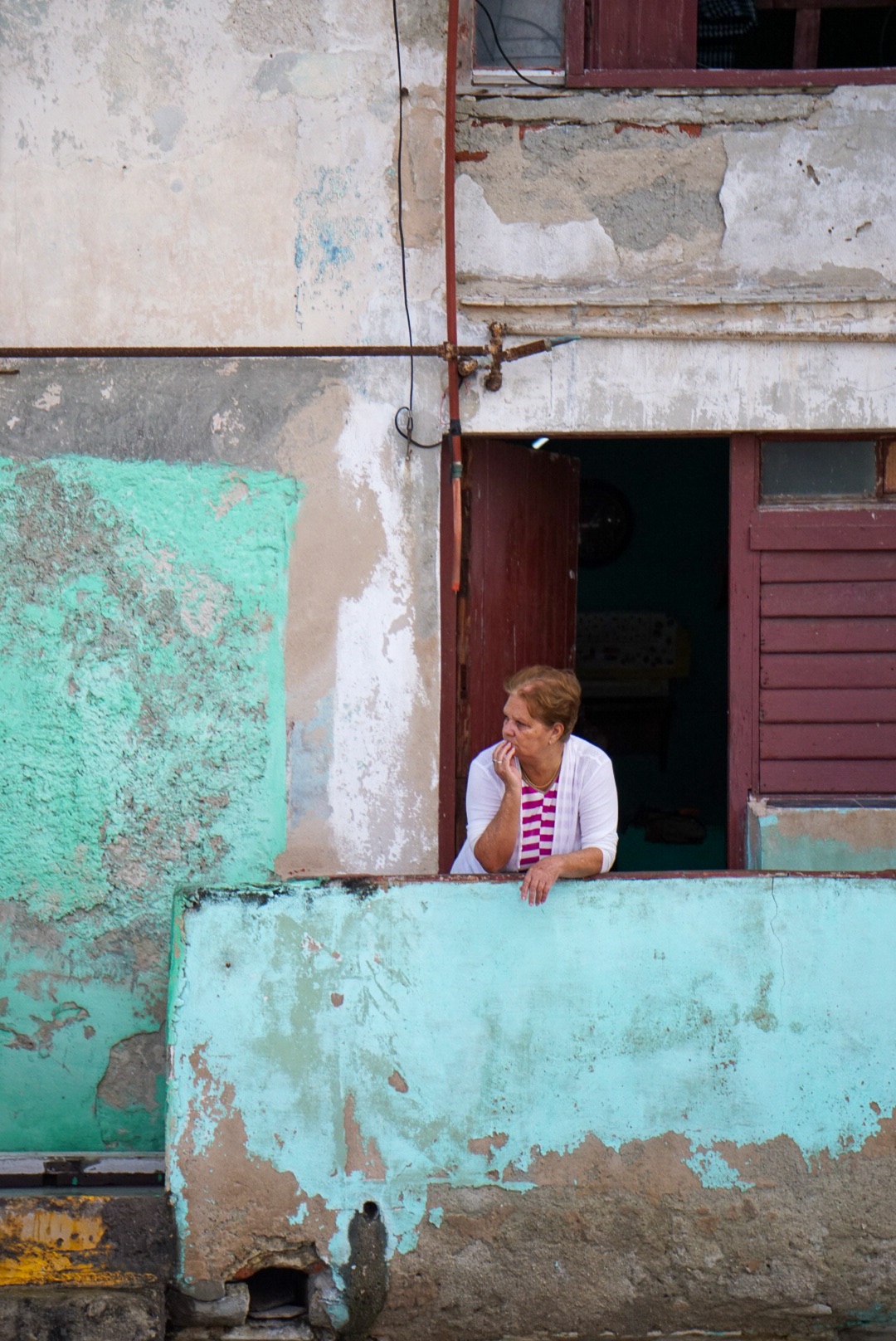 Documentary - Image 4