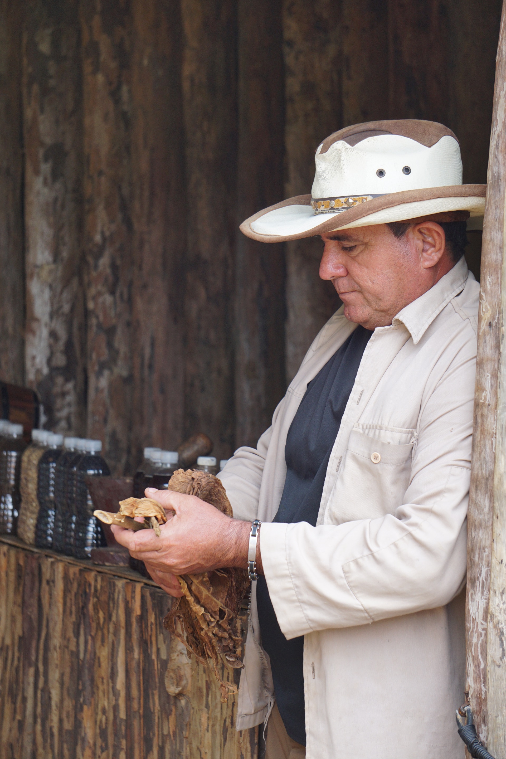 Documentary - Image 9