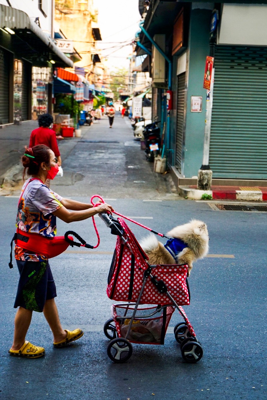 Documentary - Image 12